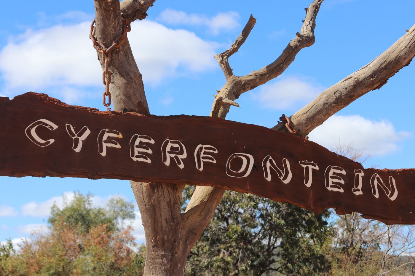 Cyferfontein